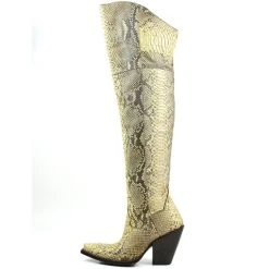 Wholesale 💯 Dan Post 👩 Women's Natural Python Exotic Tall Western Boot - Snip Toe 🌟 -western boots Shop unnamed file 919
